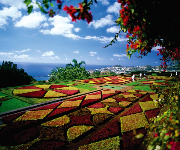 Vista del espectacular jardín botánico de Funchal