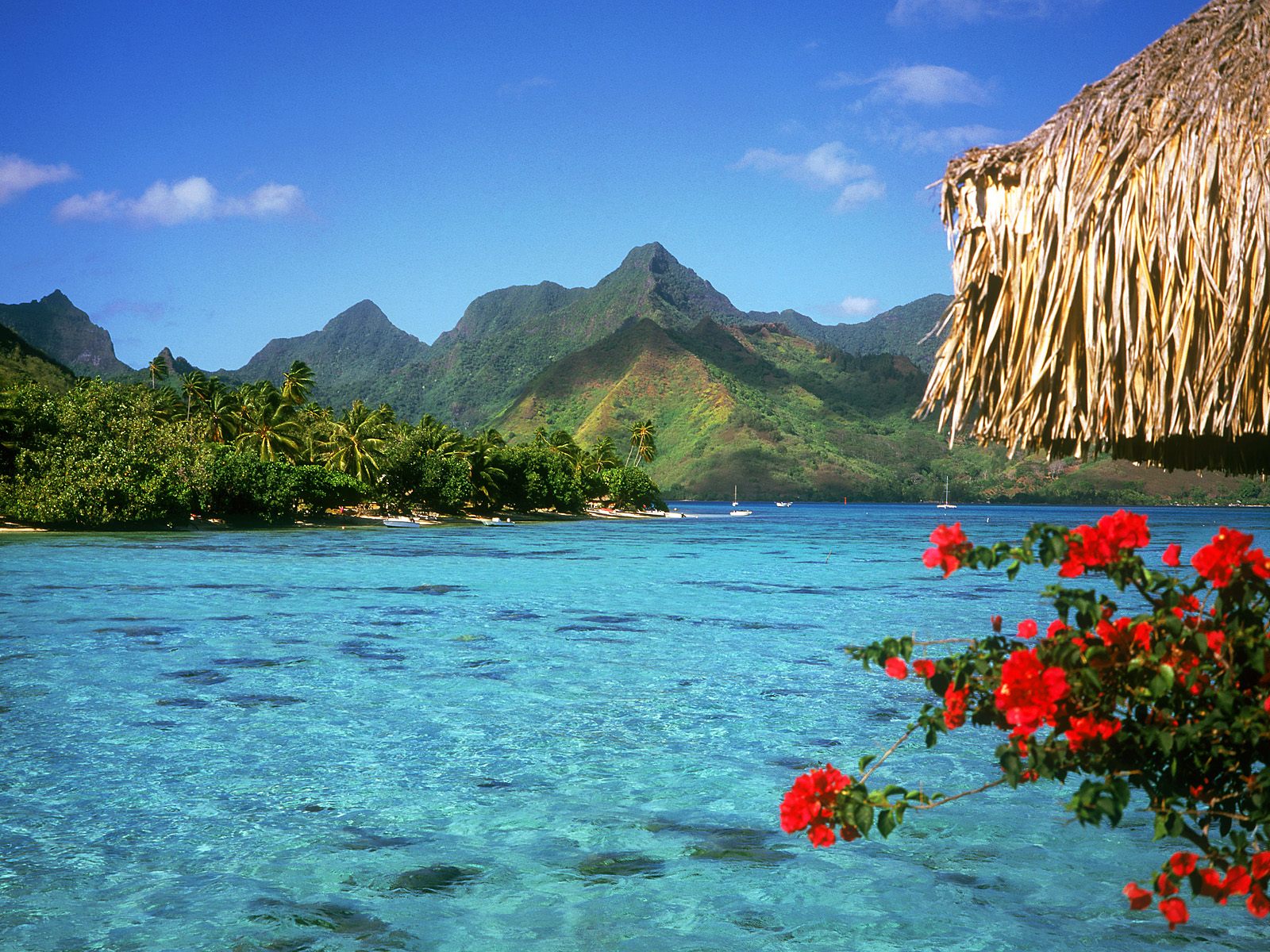 Vista de uno de los increibles paisajes de Bora Bora