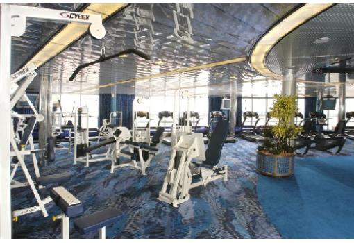 el completo Gimnasio donde cuidar con mimo tu cuerpo