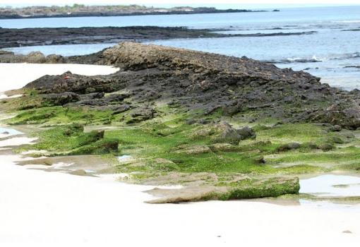 La costa inalterada está llena de detalles de mil colores