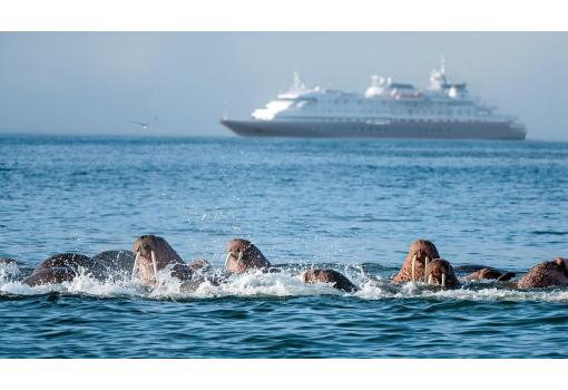 Las zonas que visita este cruceros son zonas virgenes