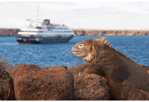 El Silver Galapagos es el Crucero más lujoso de las Islas
