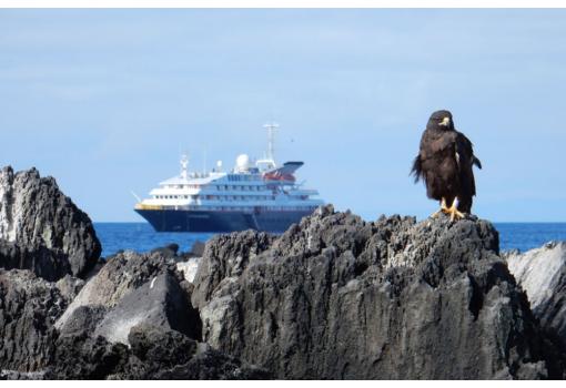 Y una fauna extraordinaria que aquí se concentra siempre