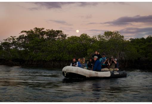 Excursiones en Zodiac por los manglares