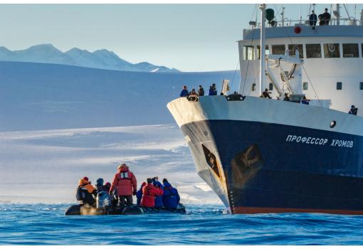 Excursión en Zodiac