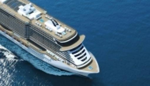     CRUCERO - EMBARQUE Y DESEMBARQUE EN MIAMI (EEUU.)