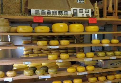 Disfrute del delicioso Queso Gouda
