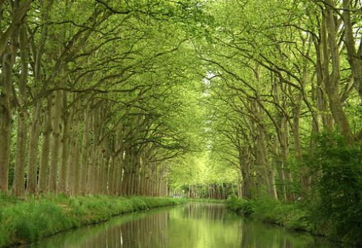 Un viaje maravilloso por un canal que tiene más de 330 años