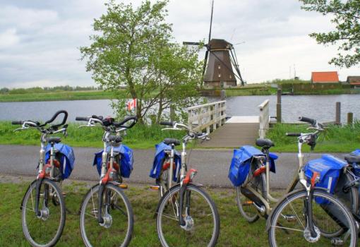 Tenemos bicis para todos, así podremos ir en grupo