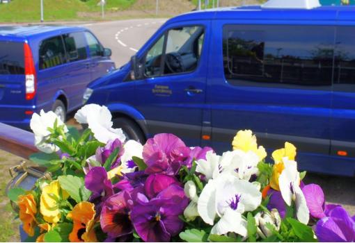 Minibuses para ir a las excursiones