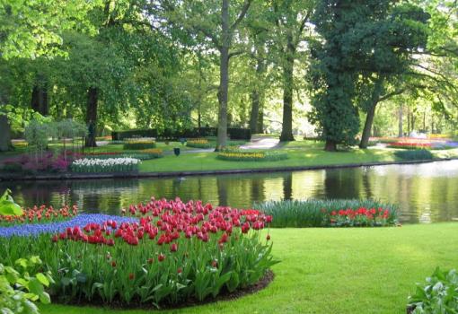 Los "Keukenhof Gardens" en Amsterdam