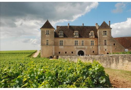 Viñedos (Clos de Vougeot)