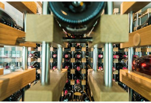 Los mejores vinos en su bodega