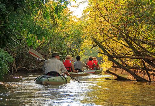haremos kayak por la selva amazonica